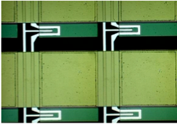 Multiplexed Sensor Biochip