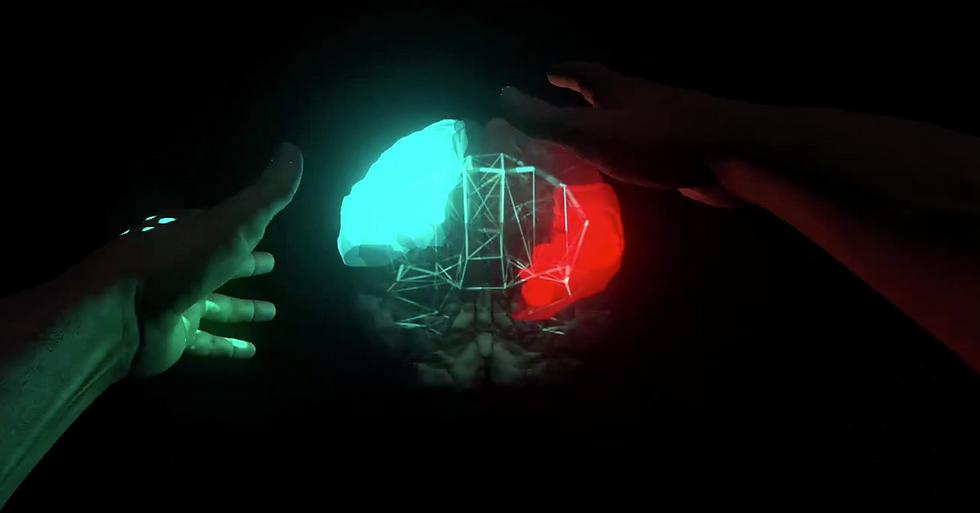 Brain Connectivity Leap v2.0