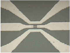 Spider Biochip