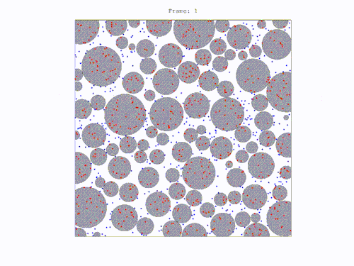 DKI Monte-Carlo Simulation