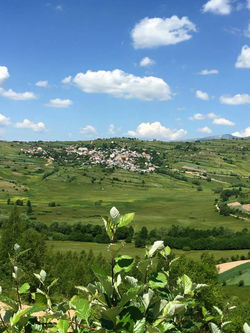 Shishtaveci