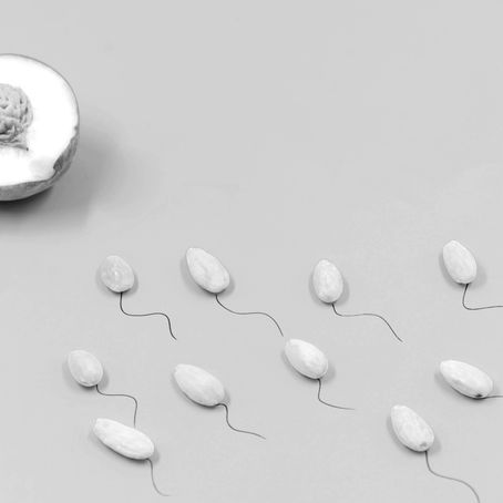 Alcohol, Hormones and Sexual Health: What’s Really Going On?