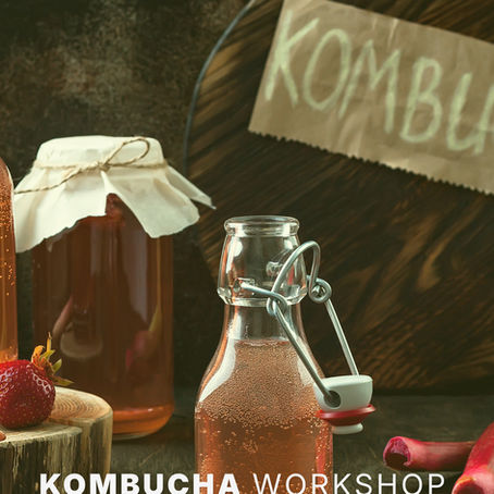 Kombucha Workshop in Erding: Hands-On, From Scratch, at Ape Maria