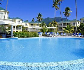 Nelson Spring Condo