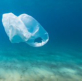 Plastic Bag in Ocean_edited.png