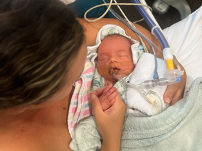 Reflecting on Six Months of Charlie
