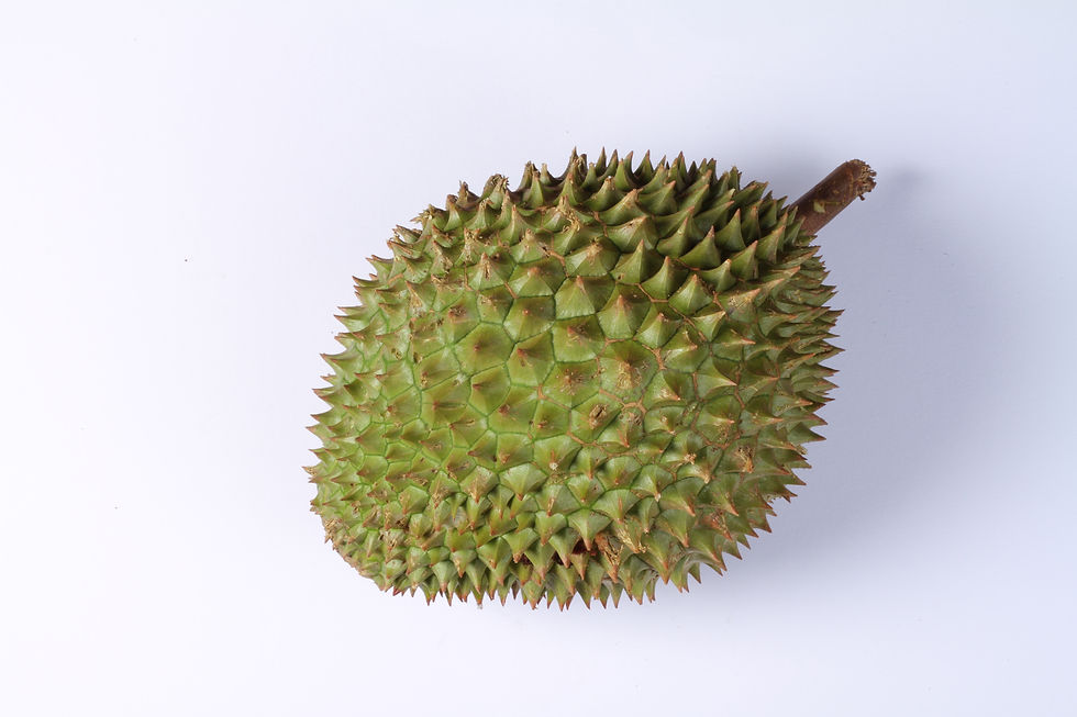 DURIAN