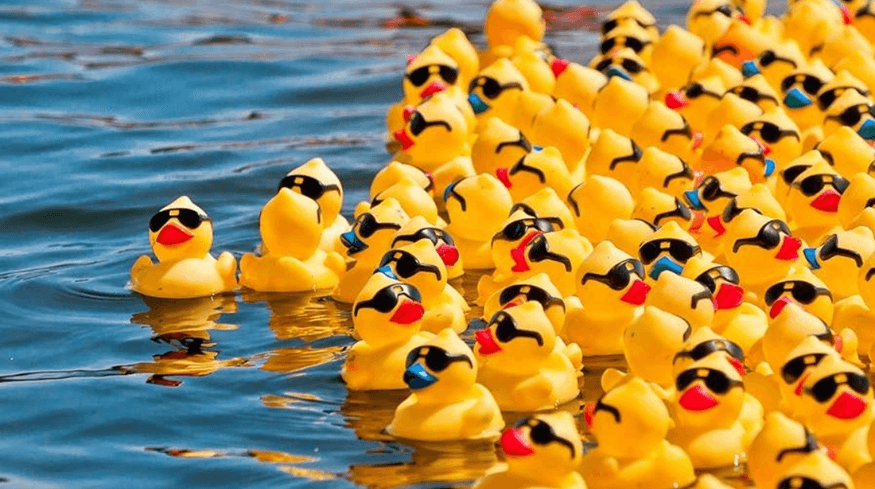 Yellow rubber ducks with sunglasses float on rippling blue water. The ducks, in a playful vibe, are tightly grouped together.