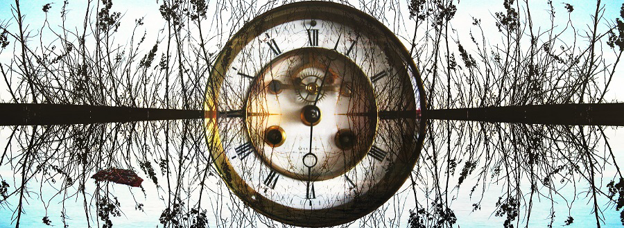 A large, vintage clock face with Roman numerals is centered among bare trees mirrored across a blue sky, creating a surreal, reflective scene.