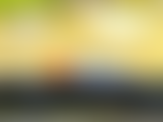 What if a Goldfish was Driving Your Uber?