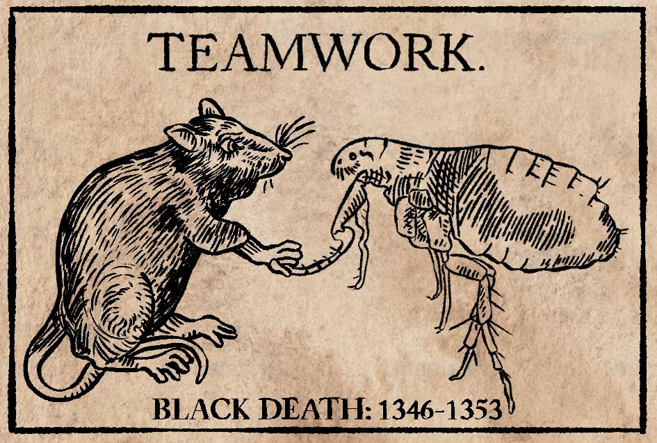 Vintage-style drawing of a rat feeding a giant flea labeled TEAMWORK, with BLACK DEATH: 1346-1353 on a tan background.