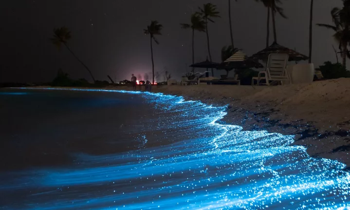 blue waves