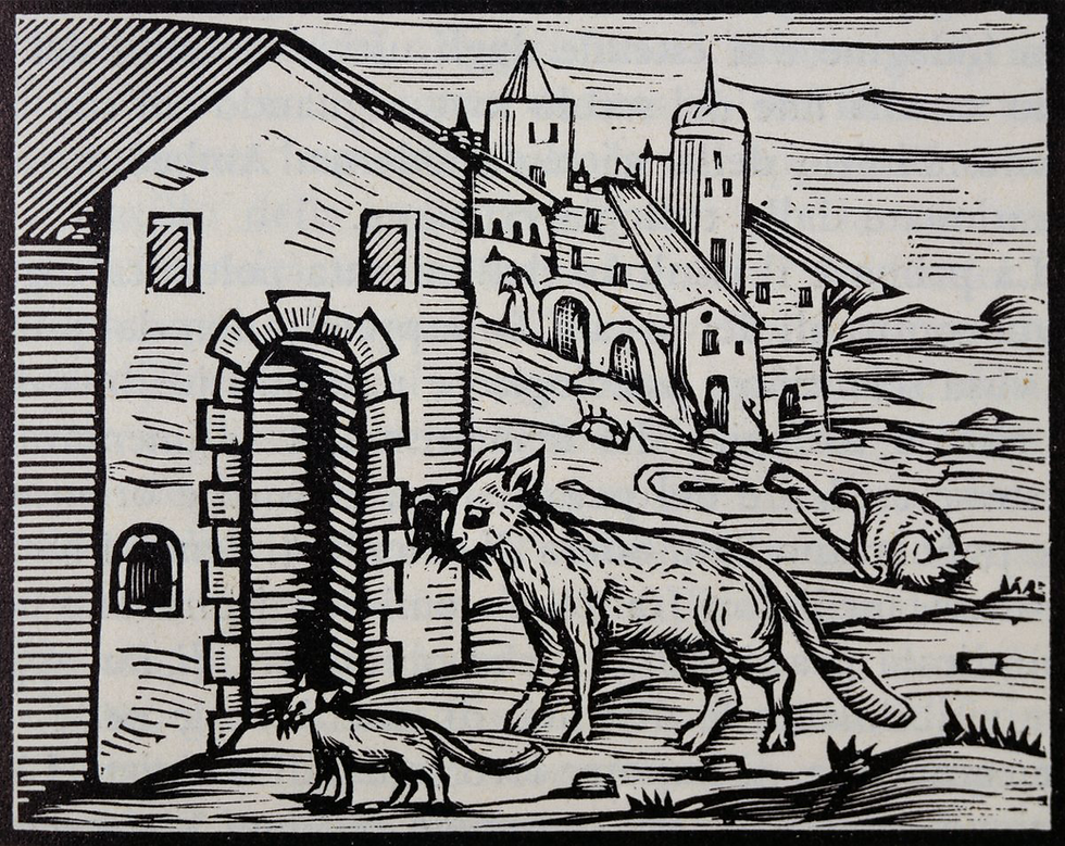 Woodcut of two foxes by a building, one with prey in its mouth. Medieval town in background. Monochrome, detailed line art.
