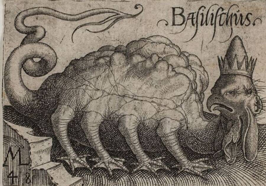 Engraving of a mythical creature - a basilisk - with scales and a bird-like head wearing a crown. "Basiliscus" text above. Tail curls left. Monochrome.
