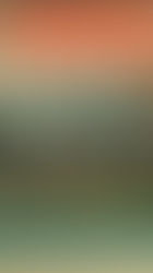 1955-56 A Francesa - Album Dos Azes da Bola