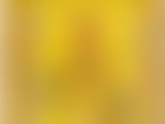 1981 Editorial Andes - Estrellas del Futbol