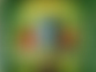 1949-50 Fabrica Universal - Caramelos Desportistas de Portugal