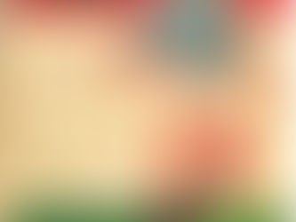 1965-66 Baggioli - Calcio Italia, Campionato di Calcio