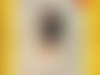 1965-66 Bergmann: Bundesliga Sammelalbum