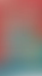 1958-59 Bruguera - Campeones