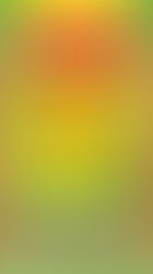 1953-54 Bruguera - Campeones