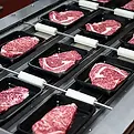 food manufacturing.webp