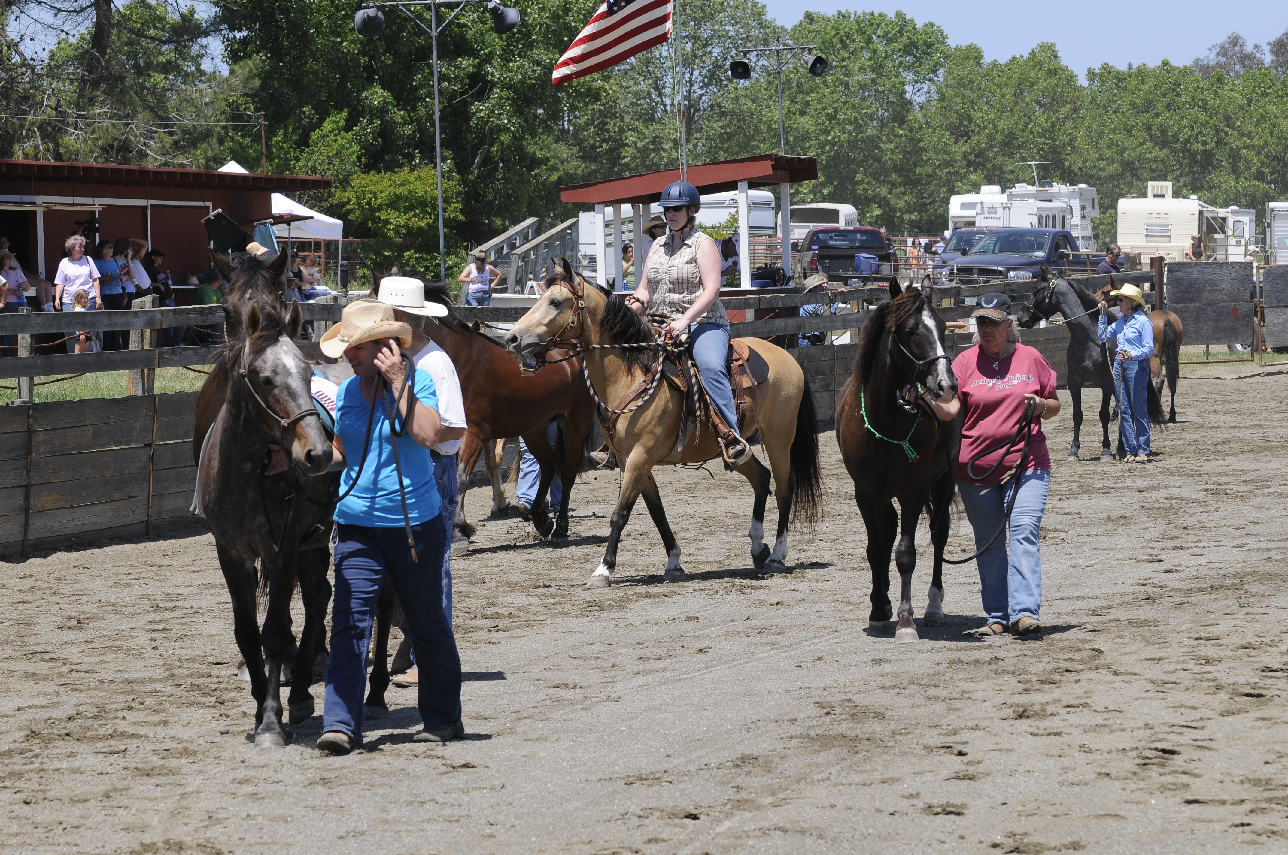 Ambassador Mustangs on Parade