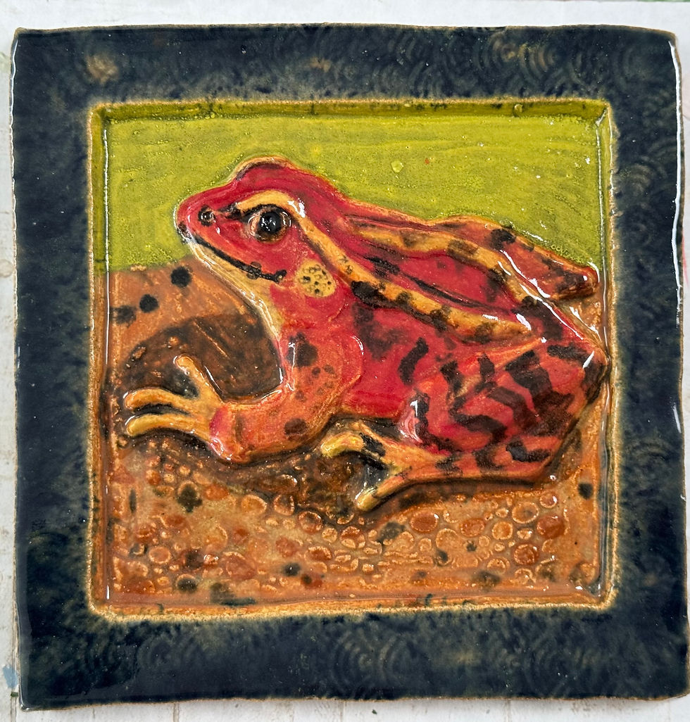 Red frog2.jpeg