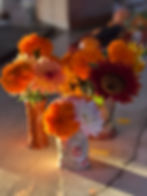 IMG_2575.jpeg