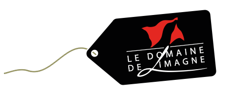 Capture d’écran 2025-02-07 à 17.00.06.png
