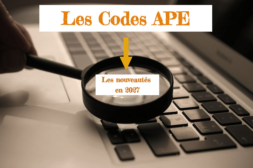 les codes APE changent en 2027 - NAF2025