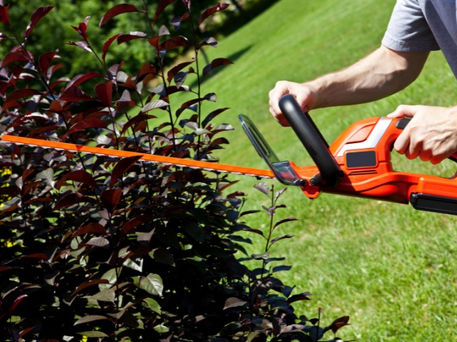 Lawn Maintenance