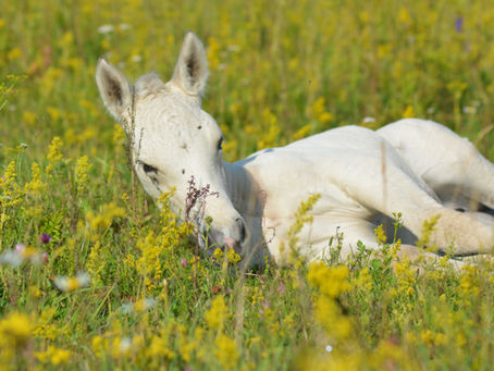 Meie uus koduleht ❤️
