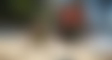 Horizon Forbidden West Ekibi Görsel Sorunlara Bakıyor ve Güncelleme Yolda