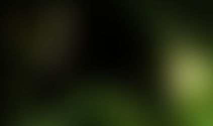 Sega, Alien'i Onayladı: Isolation Studio'nun Birinci Şahıs Nişancı Hala Geliştirme Aşamasında