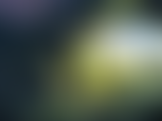 Blizzard Konsollar ve PC İçin Yeni Bir Hayatta Kalma Oyunu Geliştiriyor