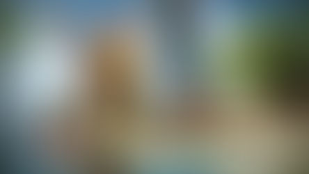 Horizon Forbidden West'in Görsel Sorunları Üzerinde Çalışmalar Sürüyor