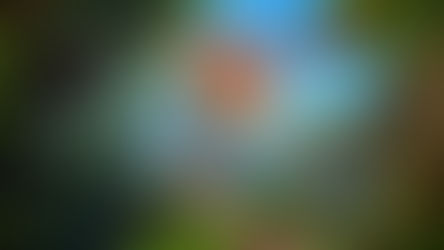 Yeni Crash Bandicoot Oyununun Geliştirme Aşamasında Olduğu Bildirildi