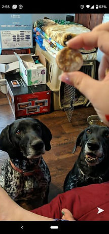 82778107_142077347250489_447337094316661