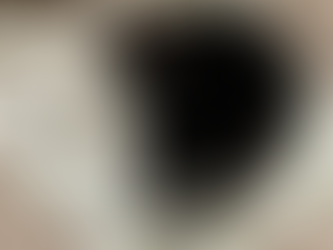 My Outdoor Reading Essentials