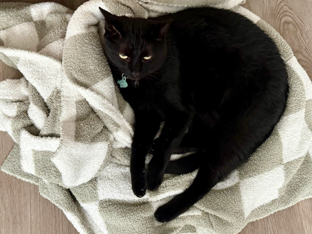 My Outdoor Reading Essentials