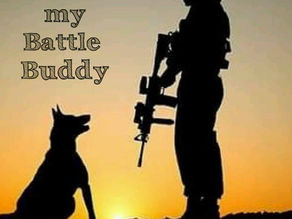 Battle Buddy