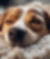 inject-blog-service_1725901140357.png
