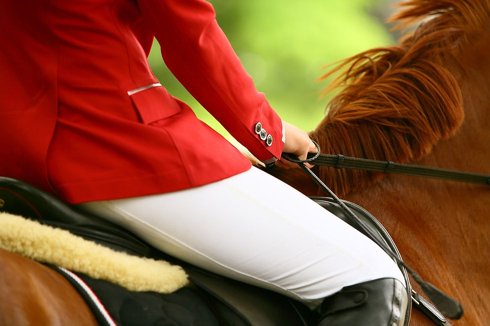 Image taken from behind of an equestrian horse riding
