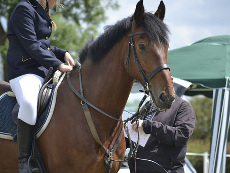 Mastering the Art of Dressage to Elevate Your Riding Skills