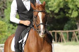 Man in suit horse riding