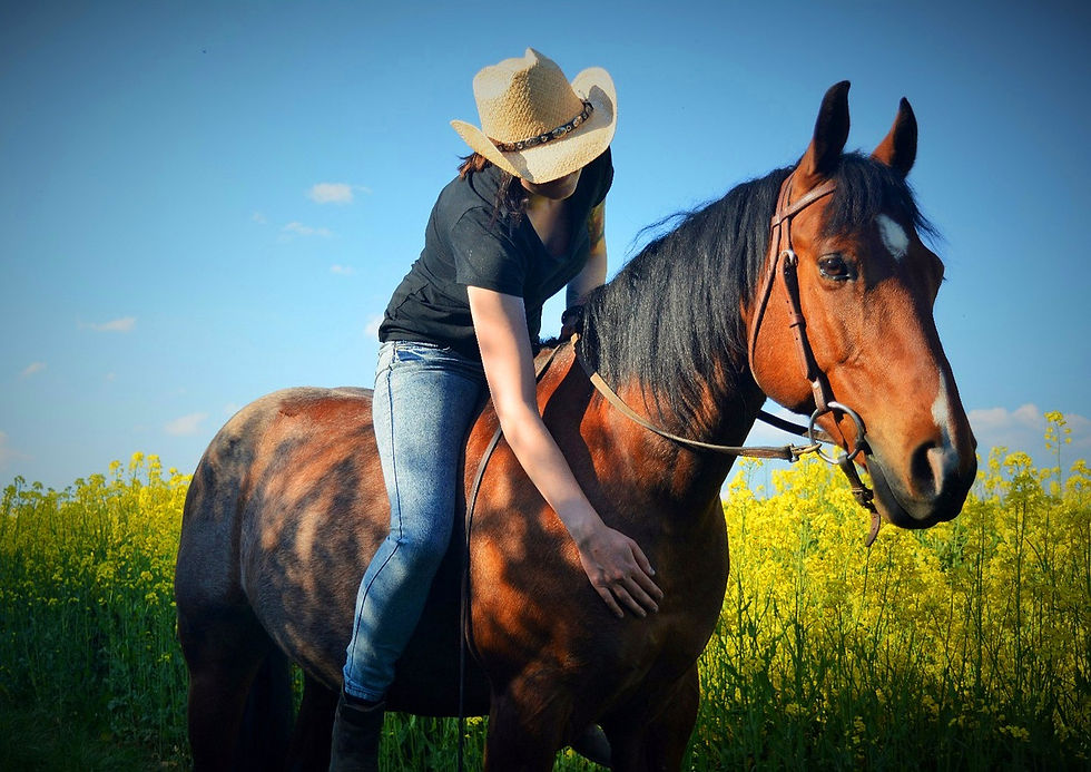 Horse riding, bonding and care