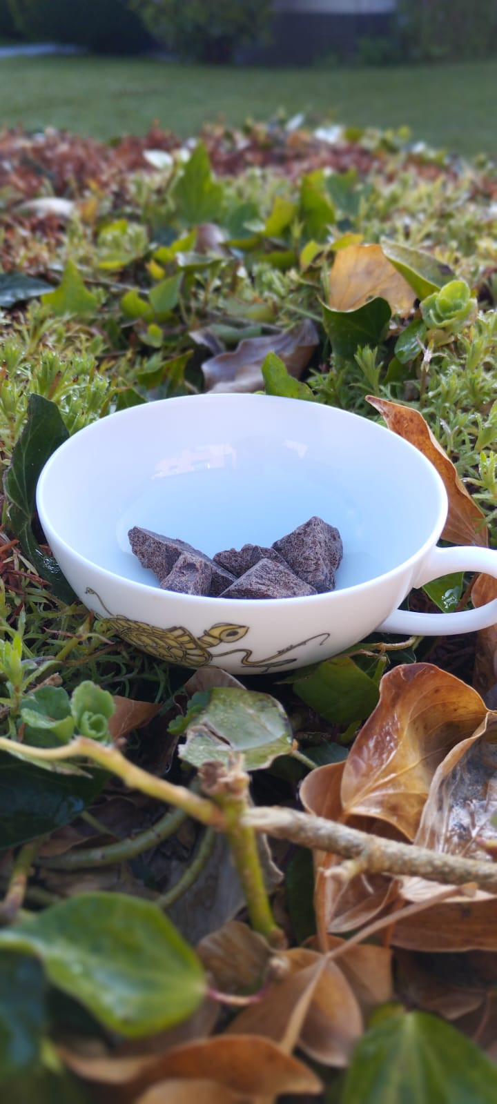 Thumbnail: Drinking Chocolate Pani Wayra