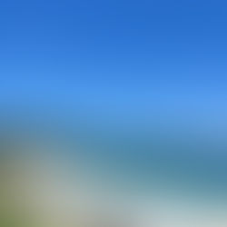 海に行ってきました♪