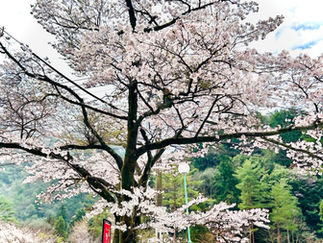 季節の移り変わりを感じますね